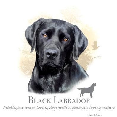 Black Labrador tshirt - TshirtNow.net - 1
