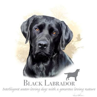 Thumbnail for Black Labrador tshirt - TshirtNow.net - 1