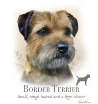 Thumbnail for Border Terrier Tshirt - TshirtNow.net - 2