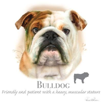 Thumbnail for Bulldog Tshirt - TshirtNow.net - 2