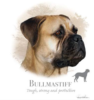 Bullmastiff Tshirt - TshirtNow.net - 1