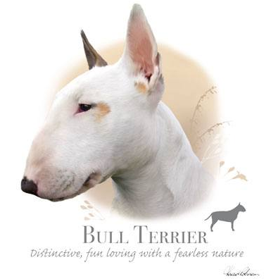 Bull Terrier Tshirt - TshirtNow.net - 1