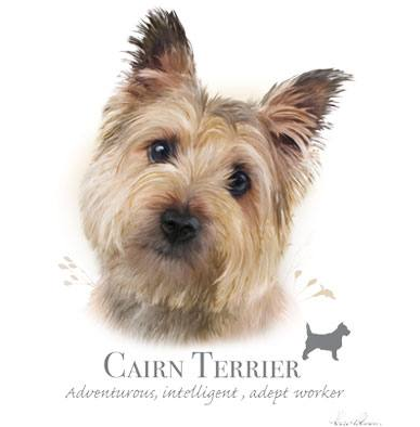Cairn Terrier tshirt - TshirtNow.net - 1