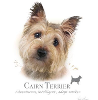 Thumbnail for Cairn Terrier tshirt - TshirtNow.net - 1