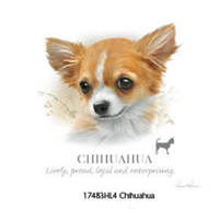 Thumbnail for Chihuahua Tshirt - TshirtNow.net - 2