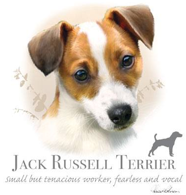 Jack Russell Terrier Tshirt - TshirtNow.net - 2