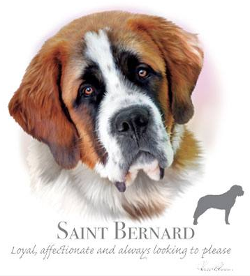 Saint Bernard Tshirt - TshirtNow.net - 2