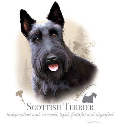 Scottish Terrier Tshirt - TshirtNow.net - 2