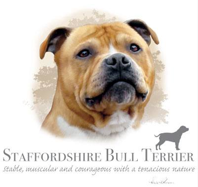 Staffordshire Bull Terrier Tshirt - TshirtNow.net - 2