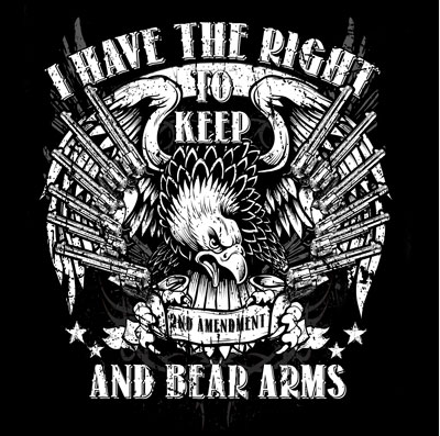 2nd Amendment Keep And Bear Arms Tshirt - TshirtNow.net - 2
