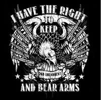 Thumbnail for 2nd Amendment Keep And Bear Arms Tshirt - TshirtNow.net - 2