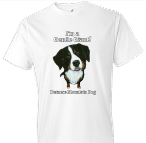 Funny Bernese Mountain Dog tshirt - TshirtNow.net - 1