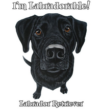 Thumbnail for Funny Labrador Retriever tshirt - TshirtNow.net - 2