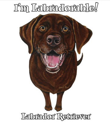 Funny Chocolate Labrador Retriever Tshirt - TshirtNow.net - 2