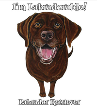 Thumbnail for Funny Chocolate Labrador Retriever Tshirt - TshirtNow.net - 2