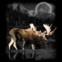Thumbnail for Moose Wilderness tshirt - TshirtNow.net - 2
