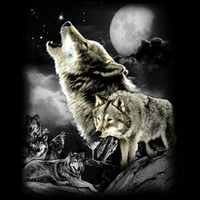 Thumbnail for Wolf Wilderness tshirt - TshirtNow.net - 2