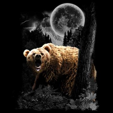 Bear Wilderness tshirt - TshirtNow.net - 2