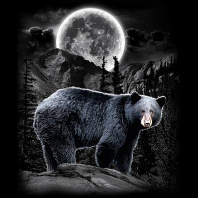 Black Bear Wilderness tshirt - TshirtNow.net - 2