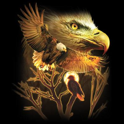 American Eagle tshirt - TshirtNow.net - 2