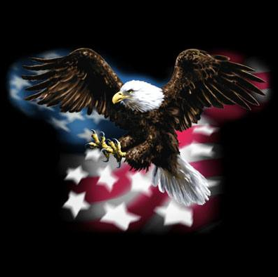 American Eagle Flag Tshirt - TshirtNow.net - 2