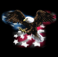 Thumbnail for American Eagle Flag Tshirt - TshirtNow.net - 2
