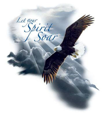 Eagle Spirit Soar Tshirt - TshirtNow.net - 2