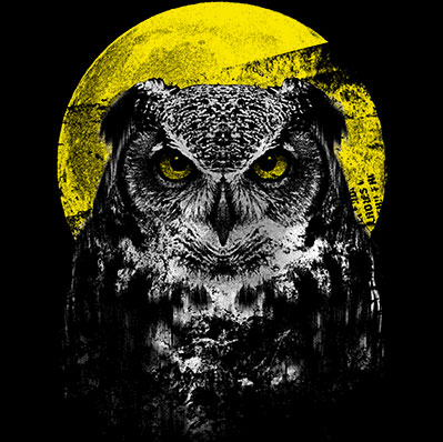 Night Owl Wildlife tshirt - TshirtNow.net - 2