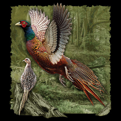 Ring-necked Pheasant Wildlife tshirt - TshirtNow.net - 2