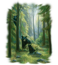 Thumbnail for Spirits Of The Forest Wildlife tshirt - TshirtNow.net - 2