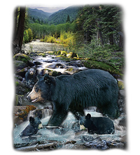 Thumbnail for At The Creek Oversized Wildlife tshirt - TshirtNow.net - 2