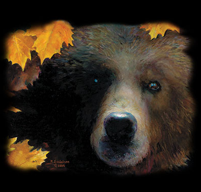 Contemplation Grizzly Bear Wildlife tshirt - TshirtNow.net - 2