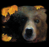 Thumbnail for Contemplation Grizzly Bear Wildlife tshirt - TshirtNow.net - 2