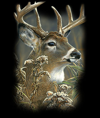 Buck Wildlife tshirt - TshirtNow.net - 2