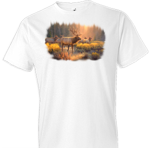 Morning Glory Elk Wildlife Tshirt - TshirtNow.net - 1
