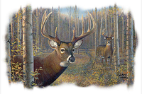 Thumbnail for October Bucks Wildlife Tshirt - TshirtNow.net - 2