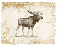 Thumbnail for Brown Moose Wildlife Tshirt - TshirtNow.net - 2