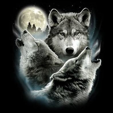 Three Wolves Wildlife Tshirt - TshirtNow.net - 2