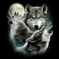 Thumbnail for Three Wolves Wildlife Tshirt - TshirtNow.net - 2