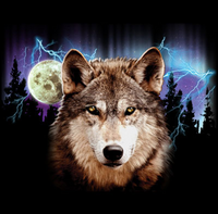 Thumbnail for Wolf Lightning Tshirt - TshirtNow.net - 2