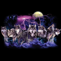Thumbnail for Night Hunt Wolf Tshirt - TshirtNow.net - 2