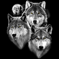 Thumbnail for Three Wolves Portrait Tshirt - TshirtNow.net - 2