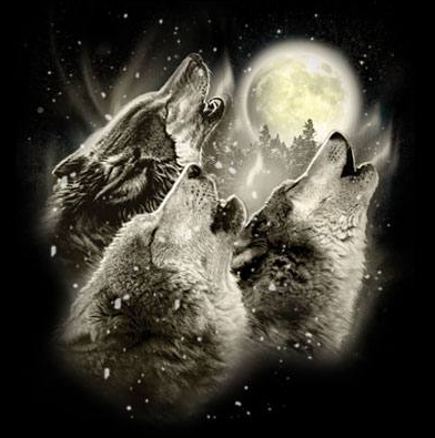 Wolf Howl Tshirt - TshirtNow.net - 2