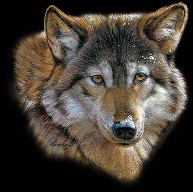 Wild Wolf Tshirt - TshirtNow.net - 2
