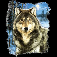 Thumbnail for Winter Wolf Tshirt - TshirtNow.net - 2