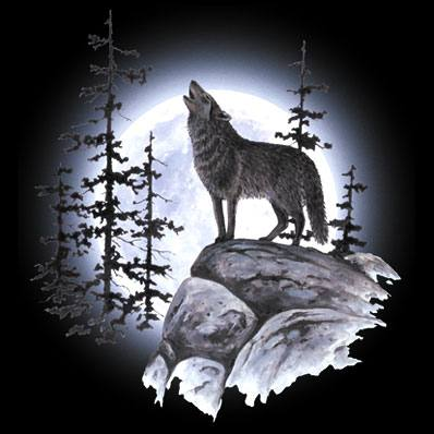 Wolf Moon Tshirt - TshirtNow.net - 2