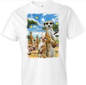 Meerkats Oversized Print Tshirt - TshirtNow.net - 1