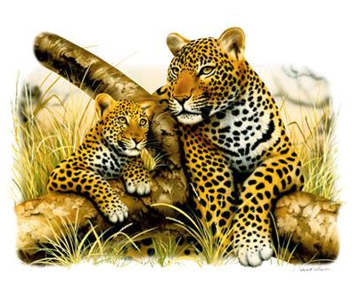 Leopard and Cub Tshirt - TshirtNow.net - 2