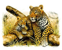 Thumbnail for Leopard and Cub Tshirt - TshirtNow.net - 2