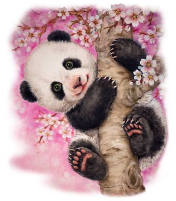 Cherry Blossom Panda Tshirt - TshirtNow.net - 2